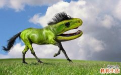 4 韓氏鎮(zhèn)痛儀 戰(zhàn)勝疼痛新武器？