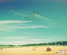 了解：急性淋巴细胞白血病