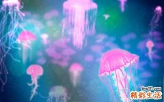 心血管疾病的几大危害