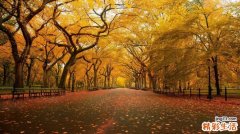 先天性二尖瓣狭窄引发什么疾病