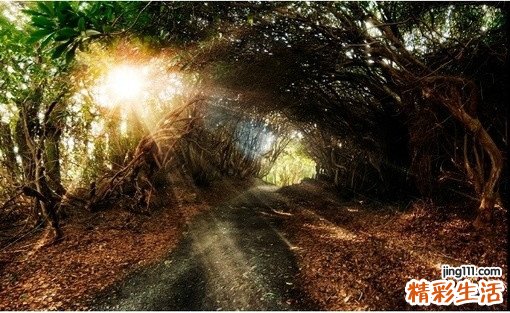 心源性休克可以并发哪些疾病？