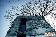 冠状动脉痉挛易导致什么并发症