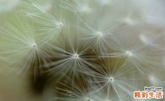 头胀的诊断_头胀的鉴别