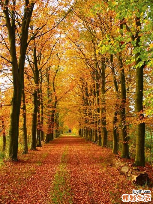 警惕心律不齐的严重并发症