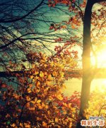 幼儿急疹症状及应对方法