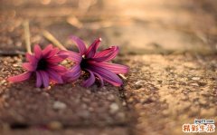 缺铁性吞咽困难检查，缺铁性吞咽困难如何诊断鉴别