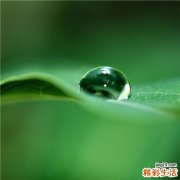 哮病檢查，哮病如何診斷鑒別