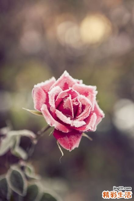 腎虛癥狀有哪些
