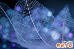 怎样预防肝小静脉闭塞症，肝小静脉闭塞症的护理