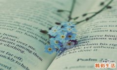 先天性胆道闭锁