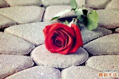 先天性二尖瓣关闭不全引发什么疾病