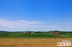 小儿慢性良性中性粒细胞减少症检查，小儿慢性良性中性粒细胞减少症如何诊断鉴别