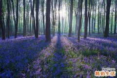 眼皮下垂的诊断_眼皮下垂的鉴别