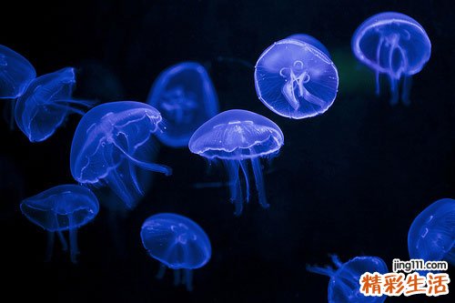 乳痈可以并发哪些疾病？