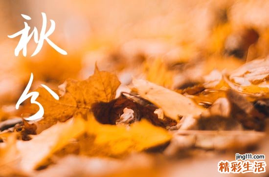 2024年9月22日几点秋分 秋分习俗