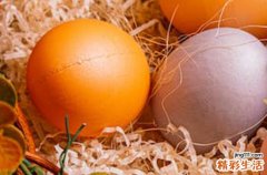 2024年秋分是几点几分几秒 秋分别忘竖蛋