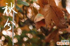 2024什么时候是秋分 具体时间是几月几号