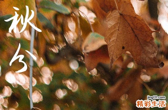 2024什么时候是秋分 具体时间是几月几号