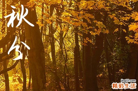 秋分是农历几月几日2024 秋分古诗