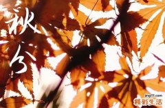 秋分节气的含义及其特点 秋分节气的农谚有哪些
