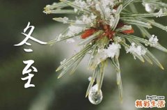 2024年冬至节气是哪天