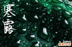 2024年寒露是几月几日 2024年寒露弄作梁好不好