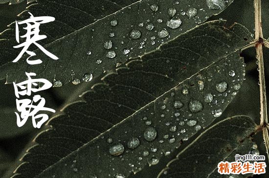 2024年寒露是几点几分几秒 2024年寒露开仓行不行