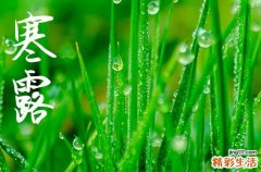 寒露是几月几号2024年 2024年寒露弄开市可以吗