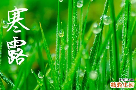 寒露是几月几号2024年 2024年寒露弄开市可以吗