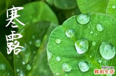 2024年寒露是星期几 2024寒露当天可以出丧吗