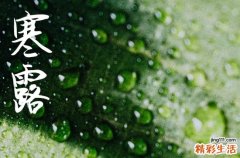 寒露是几月几号2024年 2024年寒露弄装修动工适合吗