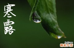 2024年寒露几月几日 2024年寒露弄安门适合吗