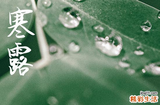 2024年寒露是几月几日 2024寒露提车好吗