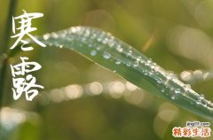 2024年寒露是哪一天 2024年寒露领证合适吗