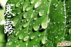 2024年寒露是几点几分几秒 2024寒露迁居好吗