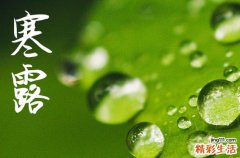 2024年今年寒露是几月几号 2024年寒露弄安床适合吗