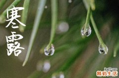 2024年寒露是多少号 2024年寒露结婚合适吗