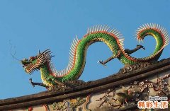 2025属龙相冲的属相是谁 能化解吗