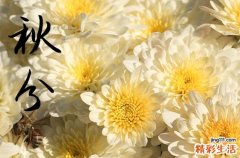 秋分是几月几日2024年 秋分的风俗有什么