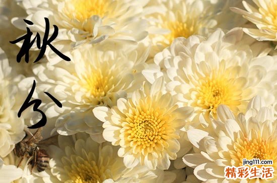 秋分是几月几日2024年 秋分的风俗有什么