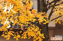 介紹秋分節(jié)氣 秋分是哪一天