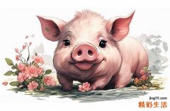 属猪身边的小人是谁 属猪人要防小人是谁