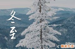 今年的冬至夜是几号2024