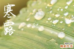 2024寒露是农历哪一天 2024年寒露弄生子可以吗