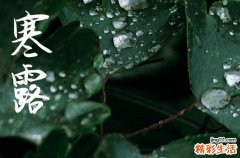 2024年寒露时间是什么时候 2024寒露那天买车好不好