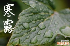 2024年寒露是什么时候时间 2024年寒露开光吉利吗