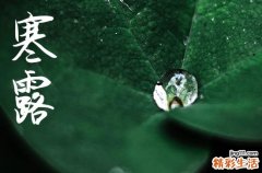 2024年农历几号寒露 2024年寒露弄迁坟适合吗