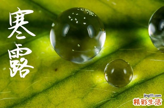 2024年寒露是多少号 2024年寒露新房入宅吉祥吗