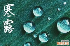 2024年寒露是什么時(shí)候 2024年寒露是安葬的好日子嗎