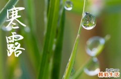 2024年今年寒露是几月几号 2024年寒露提亲行不行